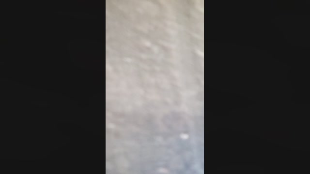 DahliaSegreta  19-02-2023